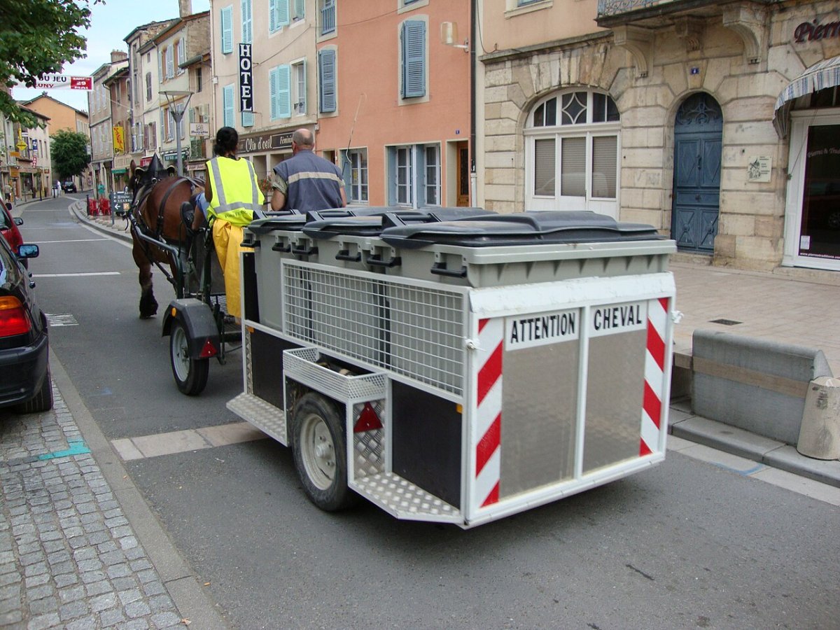 Collecte des déchets par cheval à Cluny (Wikimedia Commons)