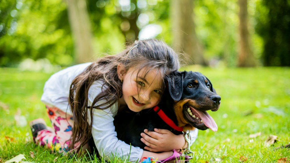 Une fillette et son chien dans un jardin, un lien qui se construit dès l'enfance.