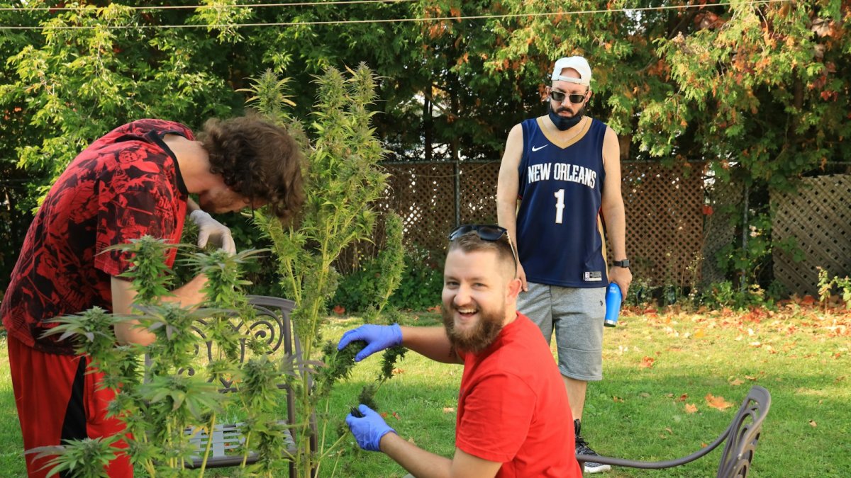 Des bénévoles plantent un arbuste lors d'une journée de chantiers collectifs.