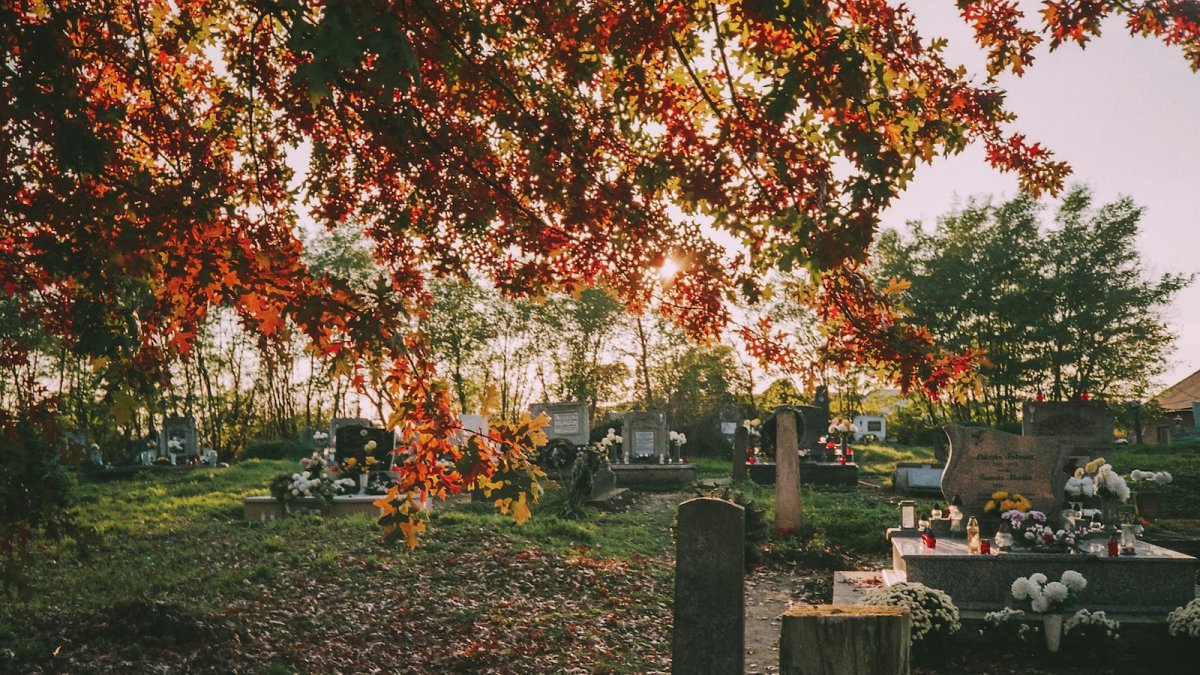 Un cimetière de campagne à l'automne, à l'approche de la Toussaint.