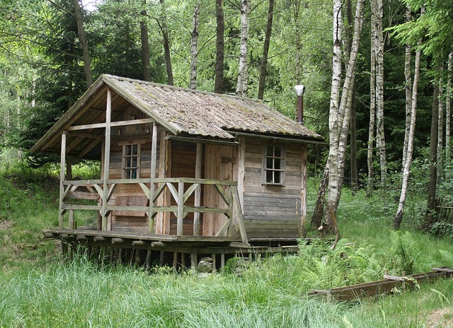 Les cabanes en bois