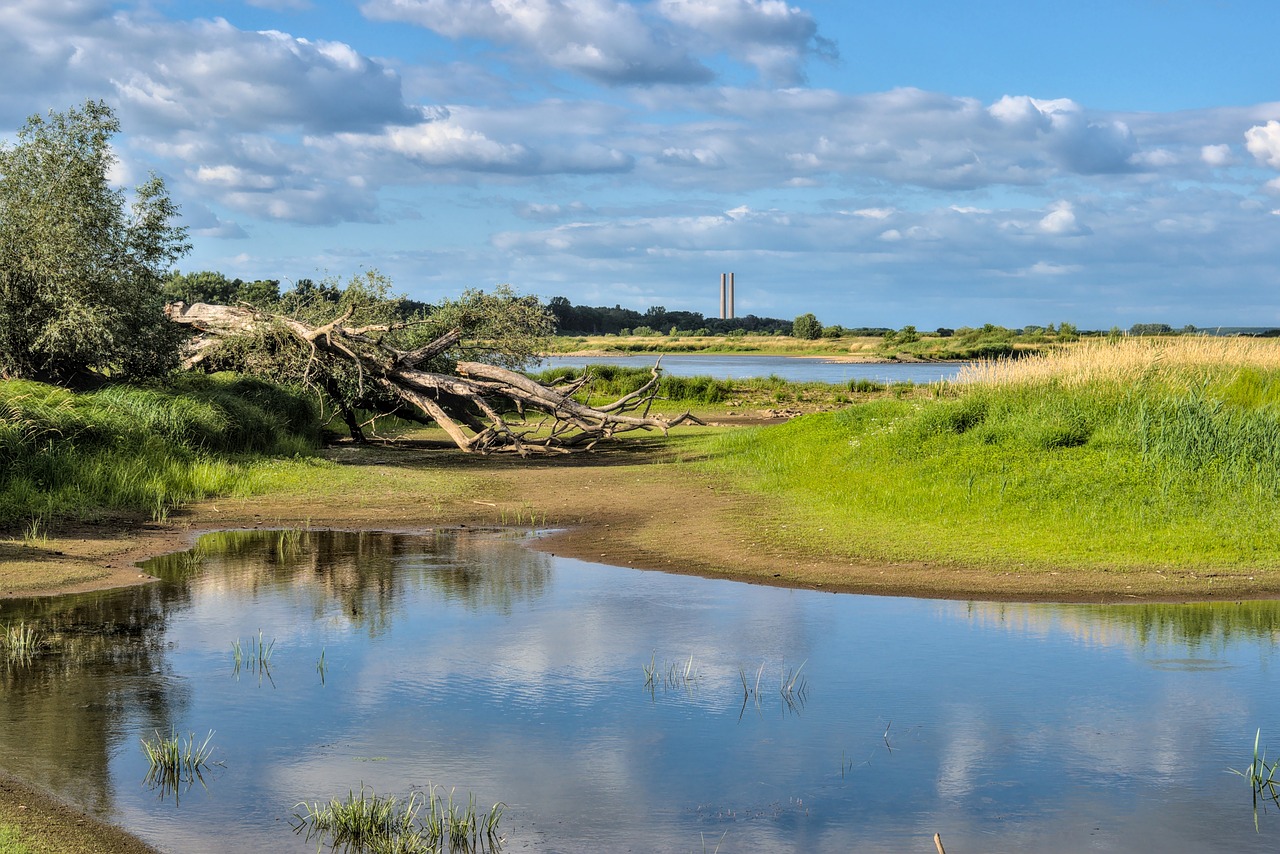 Restrictions d'eau : comment les villes font face ?