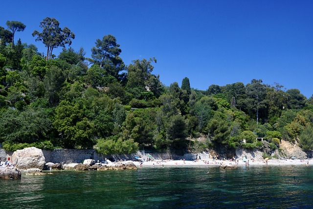 Découvrez la Vallée du Gapeau