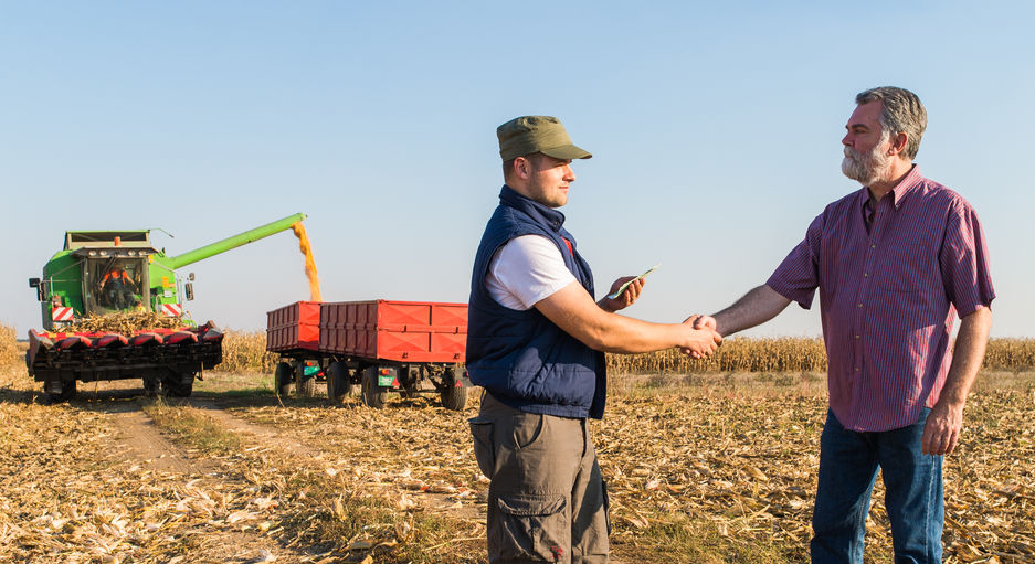 Immobilier : comment acheter une exploitation agricole ?