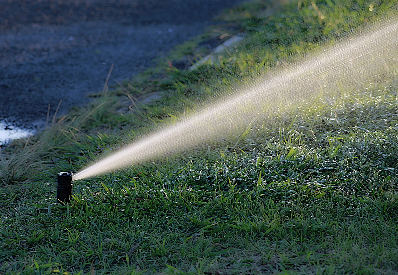  Vers une gestion éco-responsable de l'eau : l'avènement de l'arrosage intelligent dans nos villes