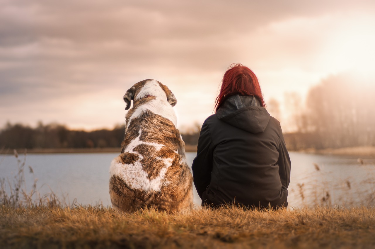 Les villes où il fait bon vivre avec son chien