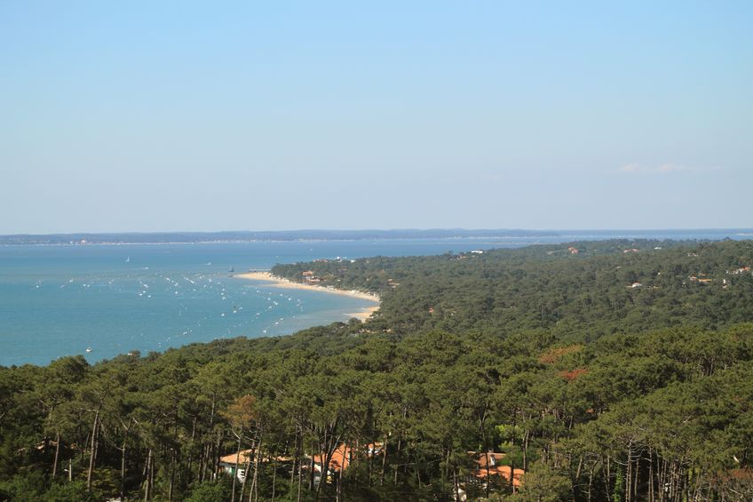 Surf, sable et tranquillité : découvrez les Landes autrement