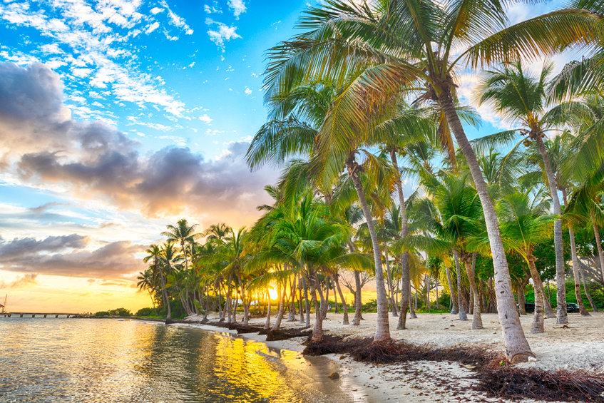 Comment bien profiter de ses vacances en Guadeloupe??