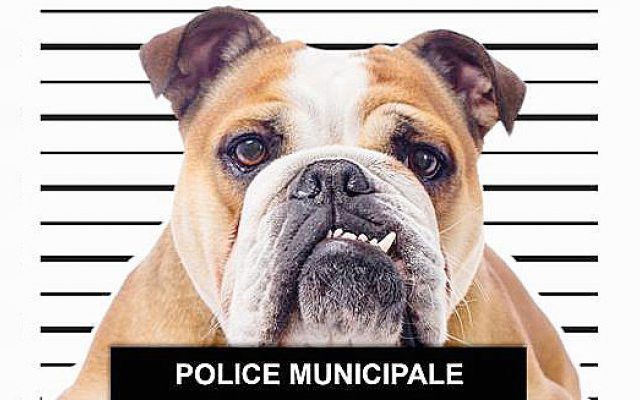 Villes étudiantes