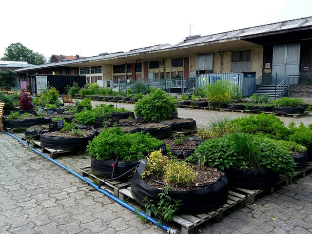 Ferme urbaine Saint Sauveur