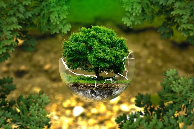 Impact environnement