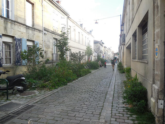 Végatalisation dans les rues bordelaises