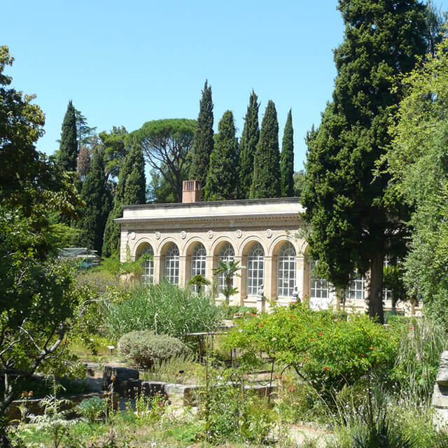 Jardin des plantes à Montpellier