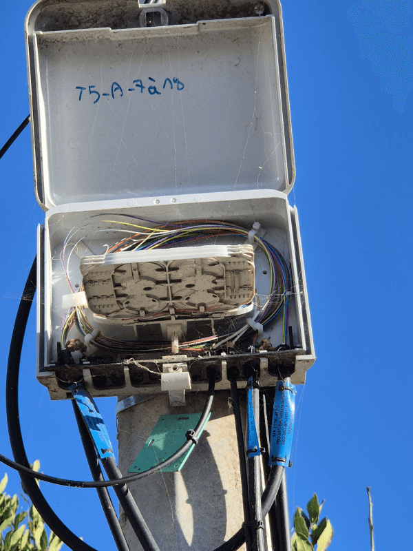 Signalement à Agde