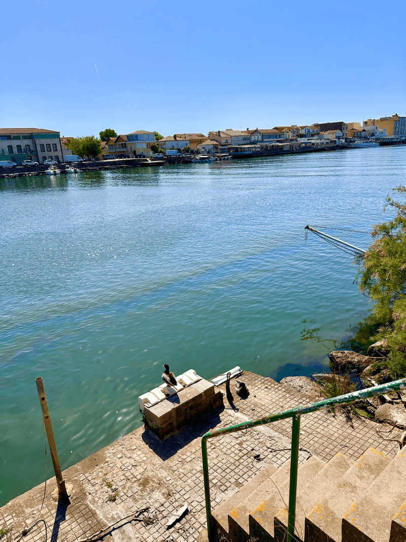 Signalement à Agde