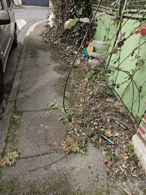 Propreté, Impasse du Port à Fumier, Amiens