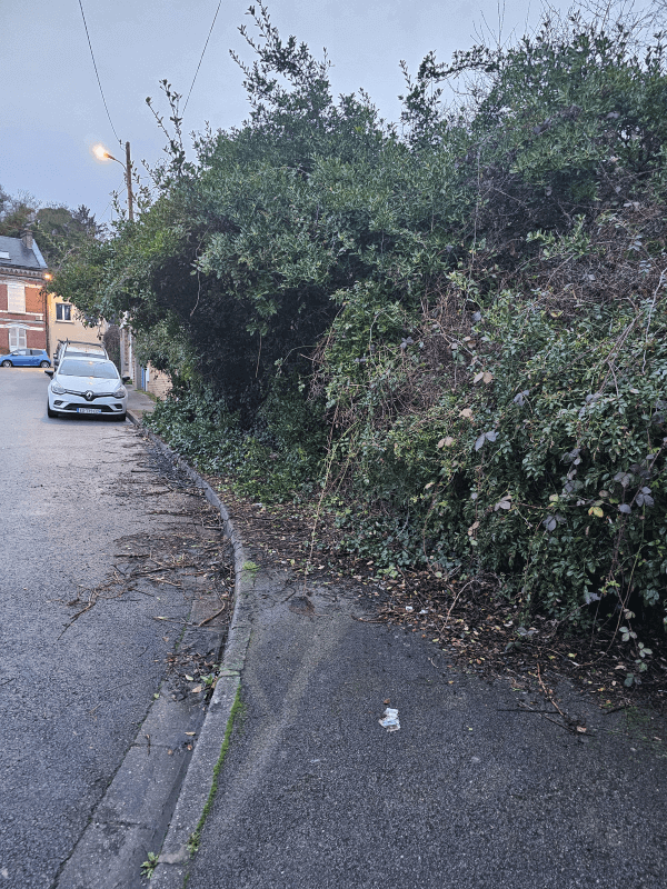 Signalement à Amiens