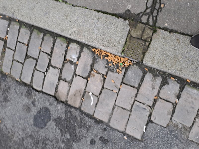 Propreté, 26 Rue Vatable, Amiens