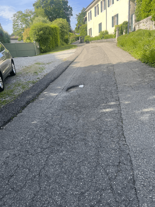 Signalement à Annecy