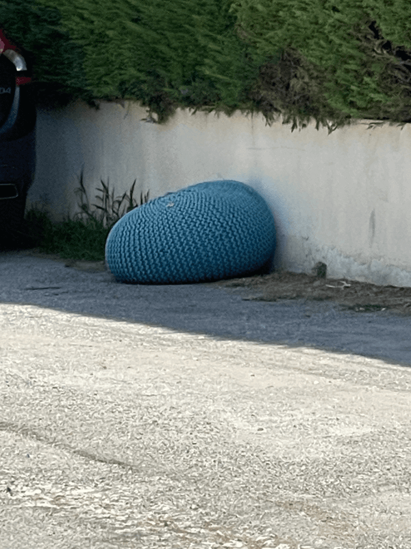 signalement à Antibes