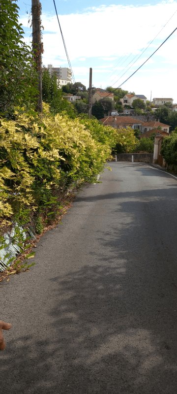 Autre, Chemin de Rabiac-Estagnol, Antibes