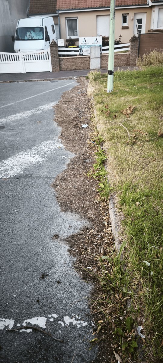 Propreté, 130 Avenue de Gaulle, Ardres