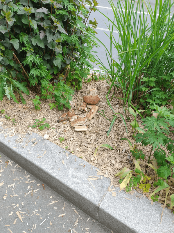 Signalement à Argenteuil