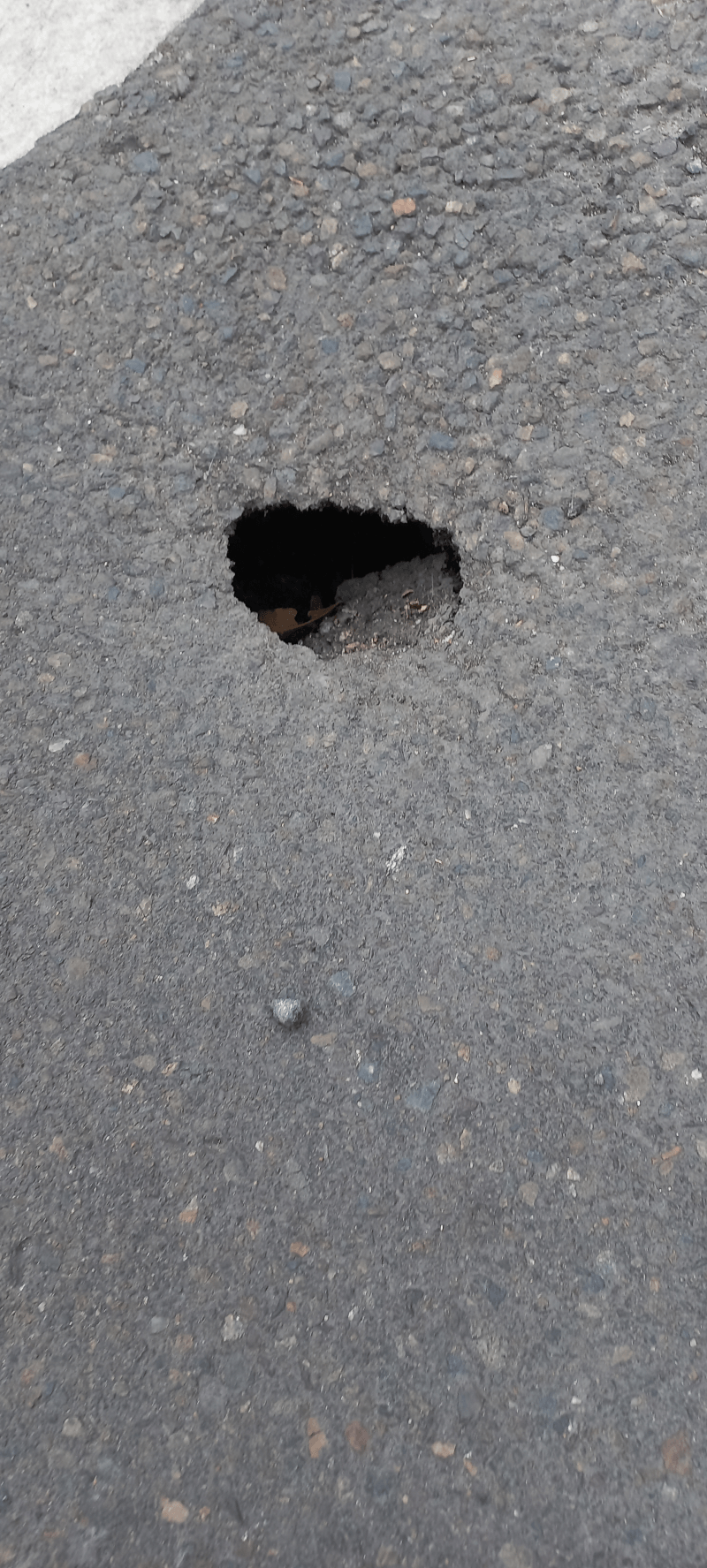 signalement à Argenteuil