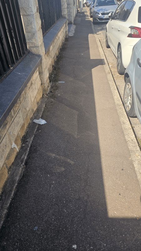 Propreté, Rue des Celtes, Argenteuil