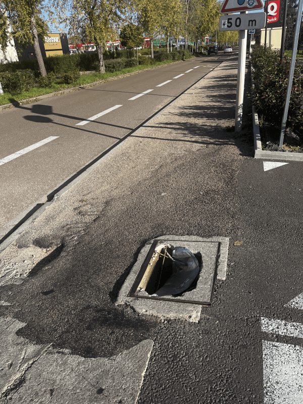Signalement à Auxerre