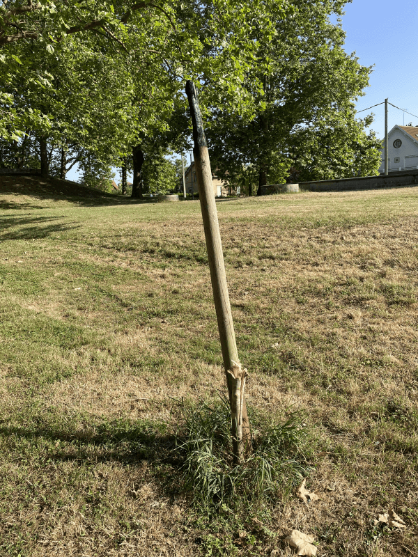signalement à Auxerre