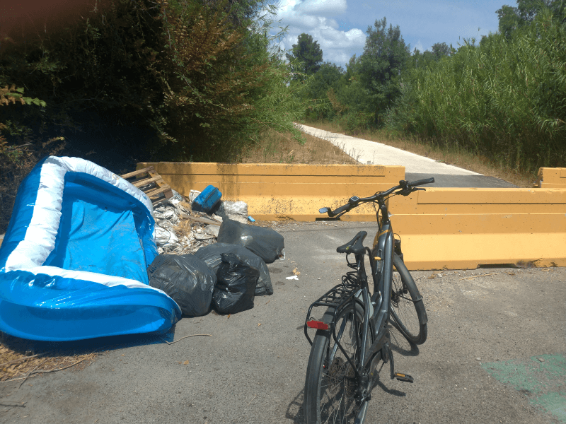 Signalement à Avignon