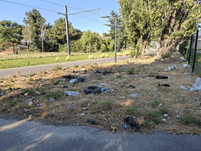 signalement à Avignon