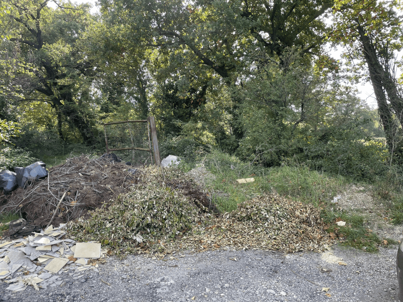 Signalement à Avignon