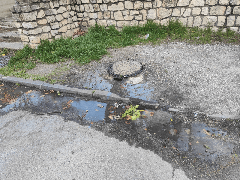 Signalement à Avignon