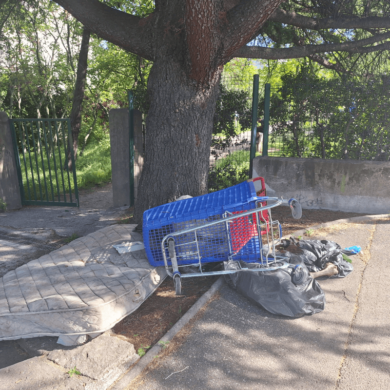 signalement à Avignon