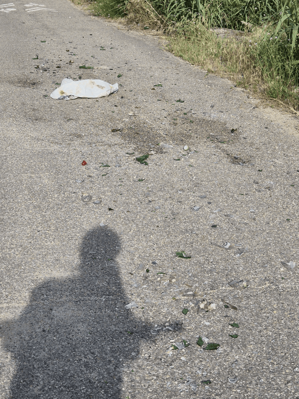 signalement à Avignon