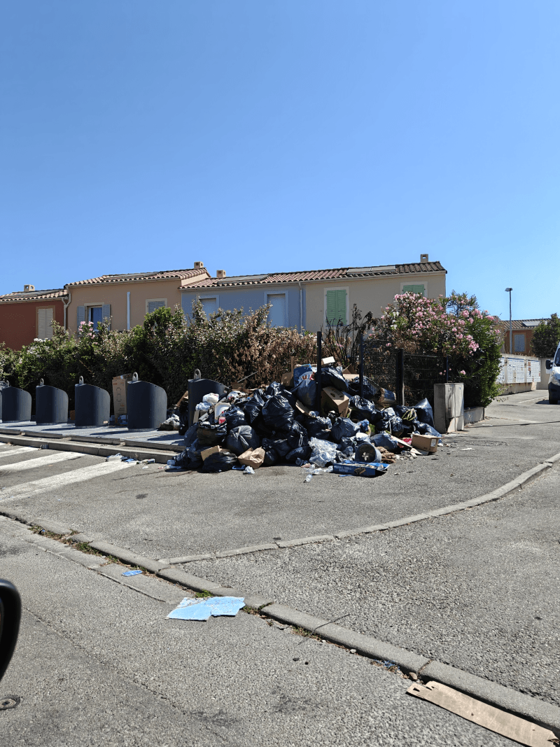 Signalement à Avignon