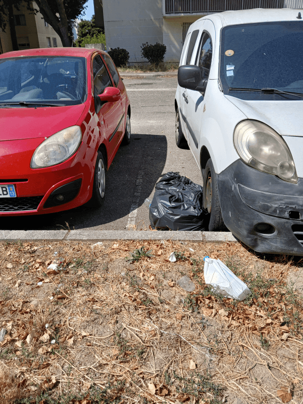 signalement à Avignon