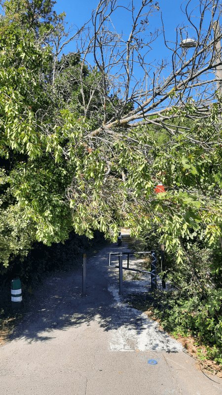 Autre, 245 Chemin des Provençales, Avignon