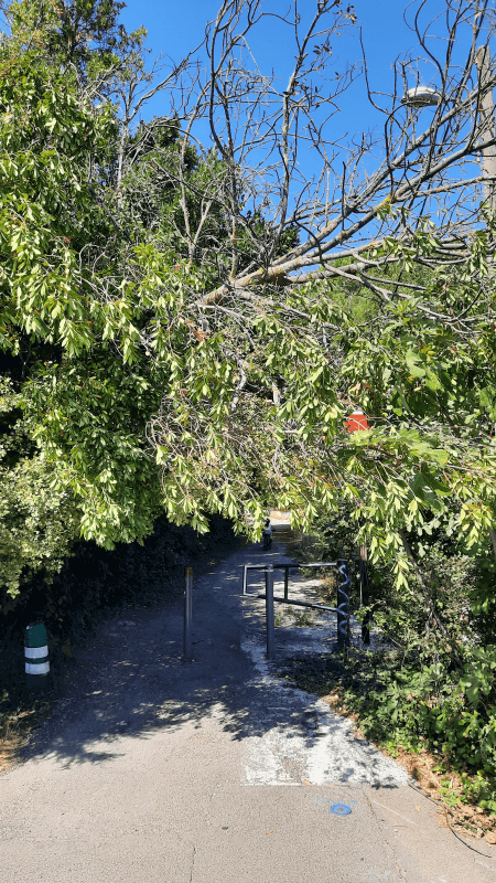 signalement à Avignon