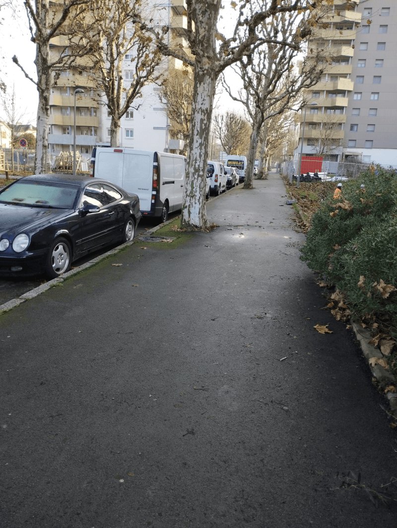 Propreté, 27 Avenue d'alsace, Belfort : après