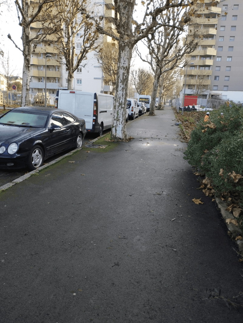 Résolution signalement à Belfort