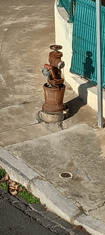 Signalement à Béziers