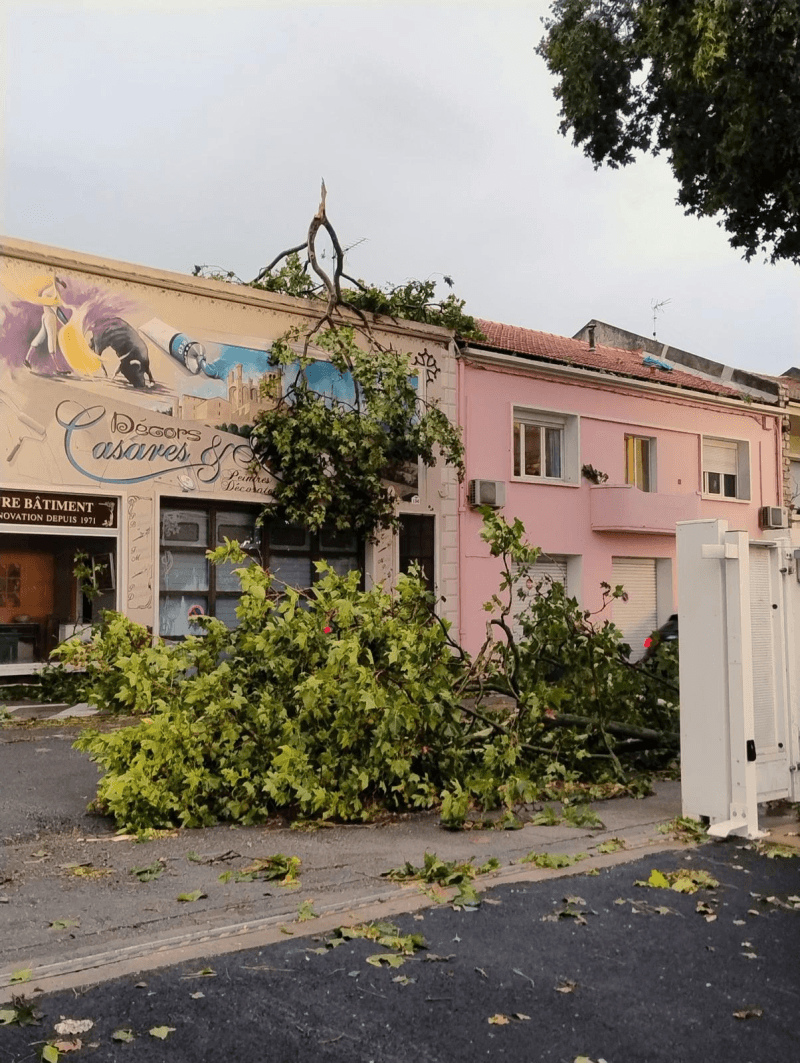 signalement à Béziers