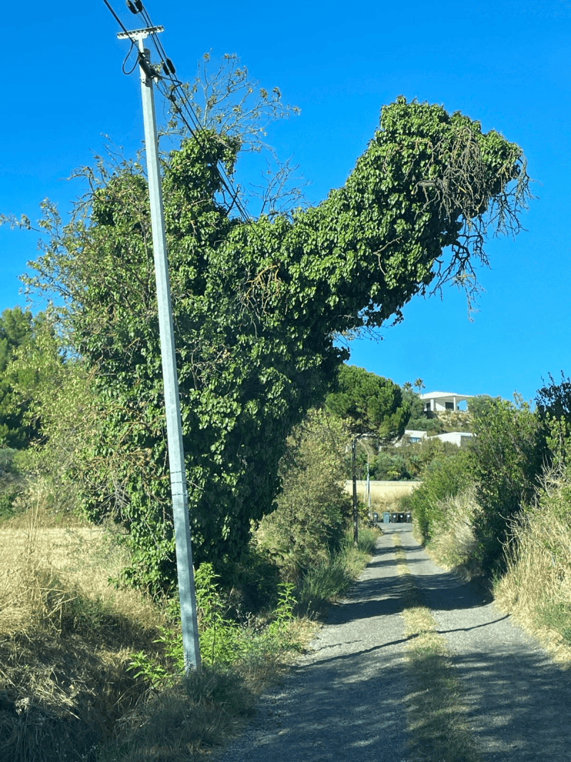 signalement à Béziers