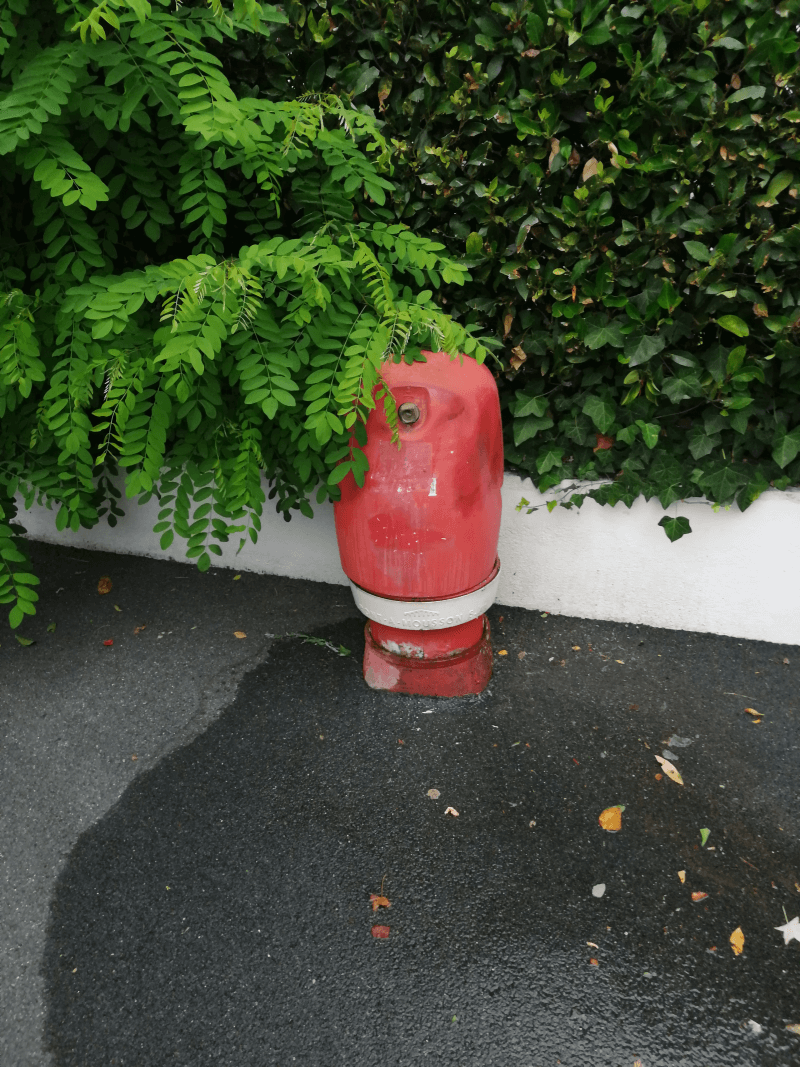 signalement à Biarritz