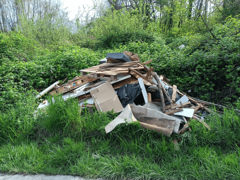 signalement à Bischheim