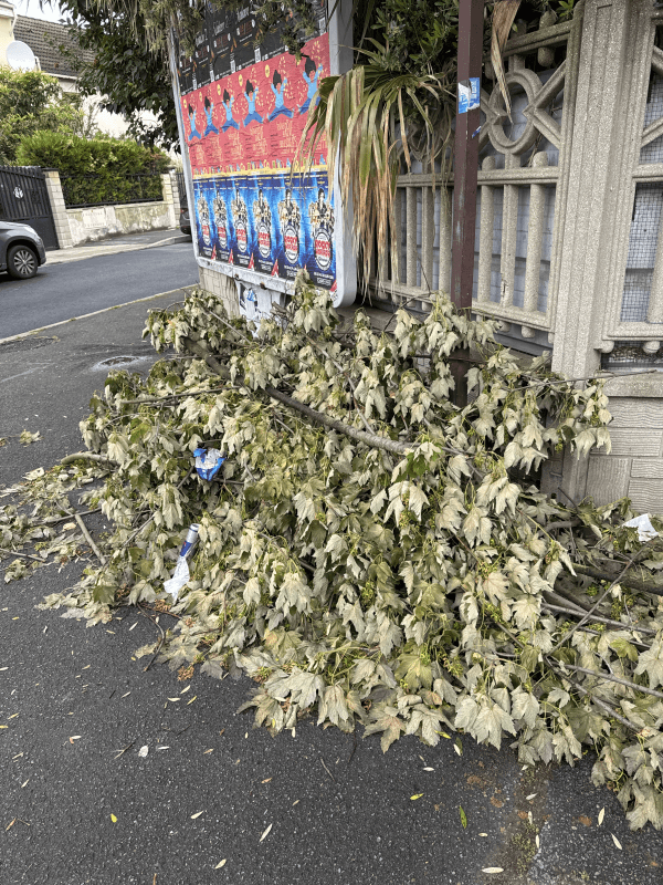 Signalement à Bobigny