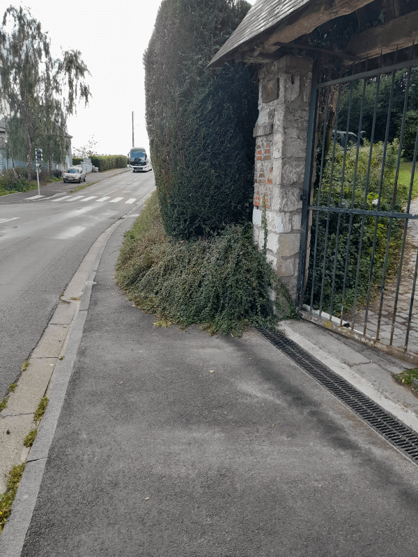 Signalement à Bois-Guillaume
